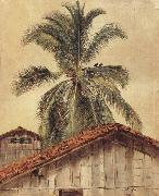 Frederic E.Church Palm Tres and Housetops,Ecuador oil painting